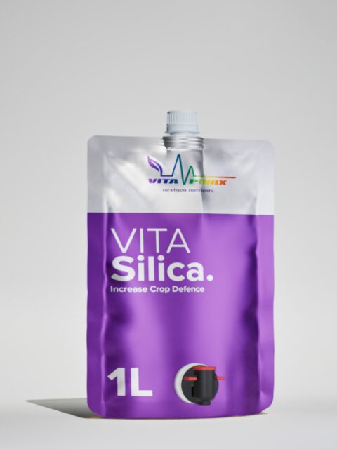 Vitaponix VitaSilica 1l