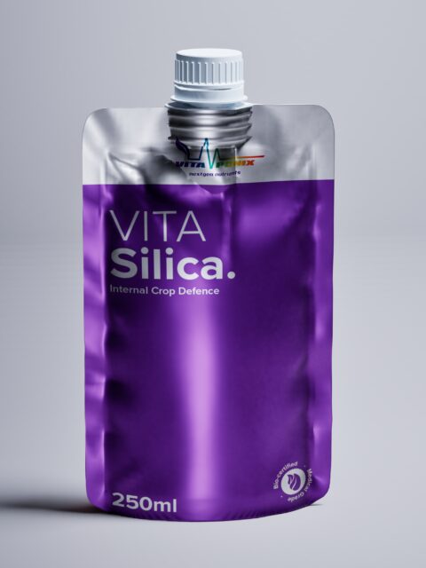 Vitaponix VitaSilica 250ml