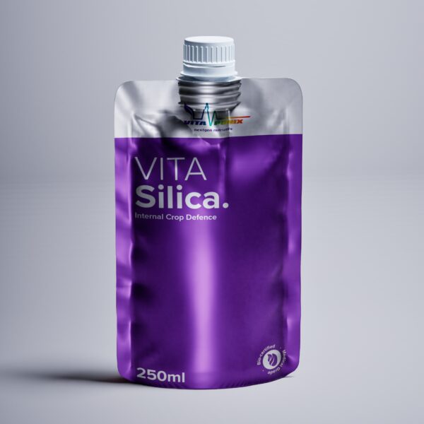 Vitaponix VitaSilica 250ml