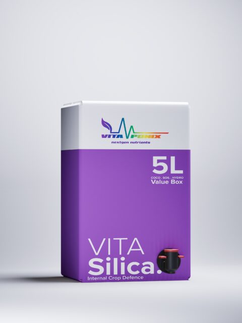 Vitaponix VitaSilica 5l